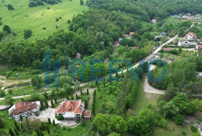Teren de vânzare Luncani, str. Slatina - 5