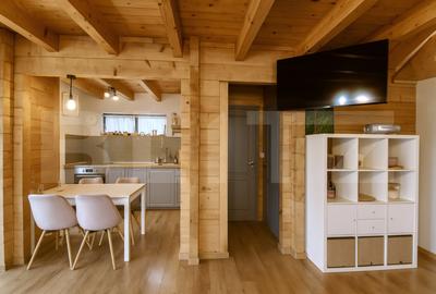 Casa ecologica tip sandwich, eficienta energetic, teren 2.673 mp, zona Baisoara - 5