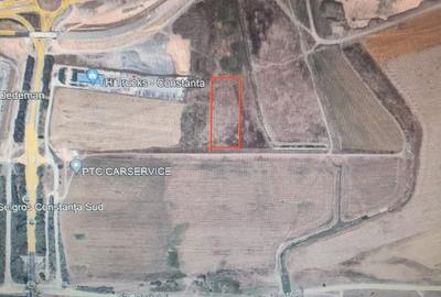 Teren Construcții intravilan de 10000 mp, în Lazu