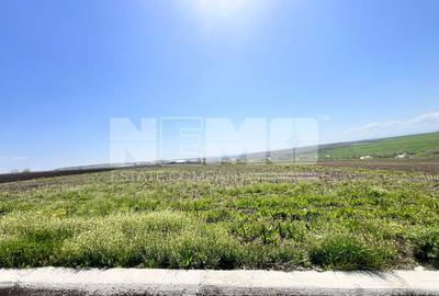 Teren Moara I 26Ari I Suceava/Moara I 4400Euro/Ar - 5