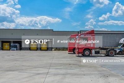 Logicor Mogosoaia, hale pentru depozitare, productie, 2.000 - 23.000mp - 3