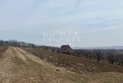 Teren de vanzare in Ocna Sibiului – Locatie premium langa lacurile sarate - 1