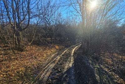 Teren intravilan 2.000 mp – Seciu, 2 deschideri, Priveliște panoramica - 15