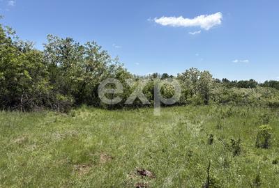 Teren 3015 mp Moșoaia | Zonă liniștită lângă pădure | Ideal casă | 15,99 €/mp - 5