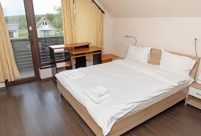 Vilă 5 dormitoare, 4 băi, 2 248mp teren, piscină. Preț: 229 000 E. - 36