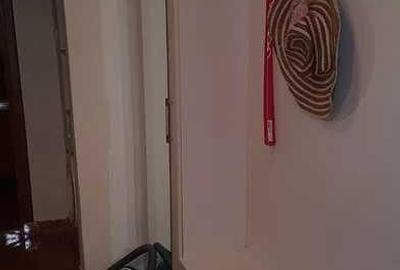 AP. 2 CAMERE APARATORII PATRIEI, CENTRALA TERMICA, METROU 10 MINUTE - 4