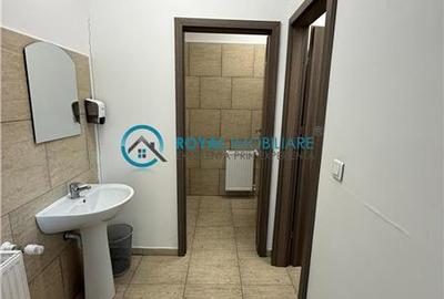 Royal Imobiliare-  Spatiu Industrial Zona Exterior Vest - 30