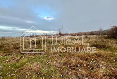 Teren extravilan 6.500 mp – Cârțișoara | Comision 0% - 6