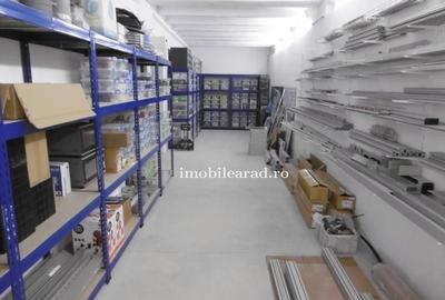 Hale de închiriat in Arad diverse zone aproape de autostrada A1 - 6