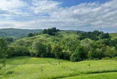 TEREN DE VANZARE -DEALURILE SULTANULUI - 1