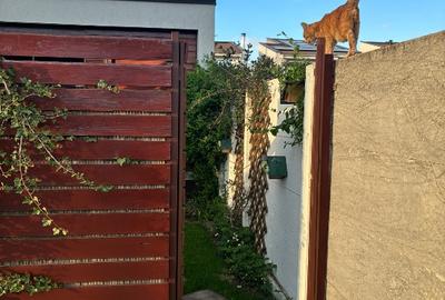 Apartament 2 camere, cu curte Dumbravita - 5
