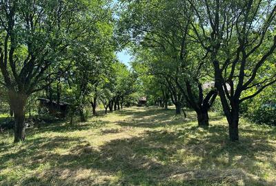 Teren intravilan 1915mp de vanzare zona Tocile (Sibiu) 16,5m deschidere - 6