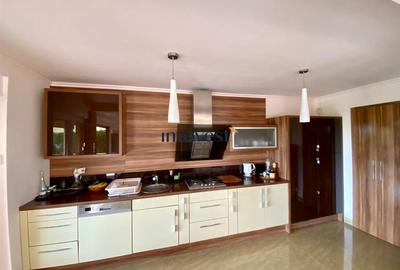 Casa de Vacanta de Vanzare la Lac Apa - 4 Dormitoare, Living + Bucatarie Open Sp - 9