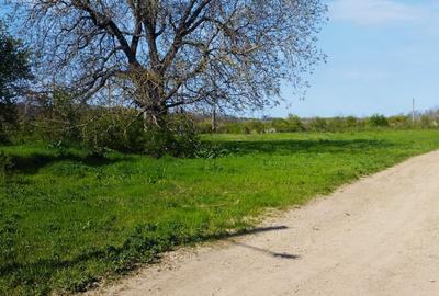 Teren intravilan de vânzare – Grădiștea, Ilfov, Aleea Primăriei - 17