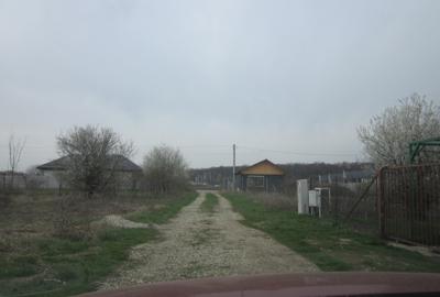 Teghes-Caminului - 7