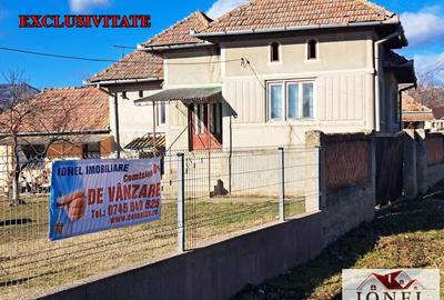 Vanzare casa in Benic - Galda cu 5000 mp teren