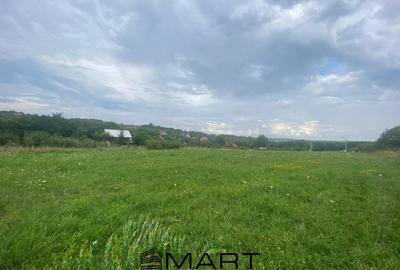 Teren agricol intravilan de 8000 mp, în Daia