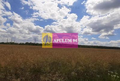 Teren 715mp în Snagov lângă Equestria - 50