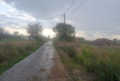 Teren de vanzare in Ciolpani - 8