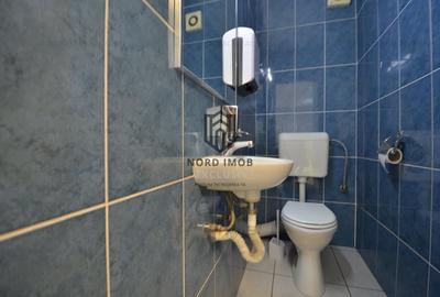 Inchiriere 242 mp | Imobil birouri Domenii | Comision 0%-Reprezentare Proprietar - 12