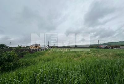 Teren Intravilan de Vanzare | Moara Carp, Suceava | Pret: 95.000€ - 4
