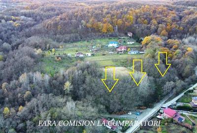 TEREN CONSTRUIBIL, PARTIAL IMPADURIT, 4726 MP INTRAVILAN - 1