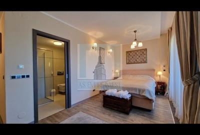 Apartament 2 camere/ Silver Mountain Resort & Spa - 6