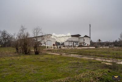 Teren 28.788m + Hale industriale + Sediu Firma - 39