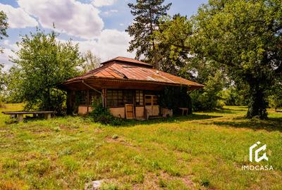 Vila Conac boieresc contelui Fabia 1920 de vânzare Păuliș Arad 2,4 ha - 8