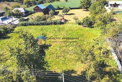 TEREN intravilan 3260 mp  ROZNOV – CHINTINICI - 5