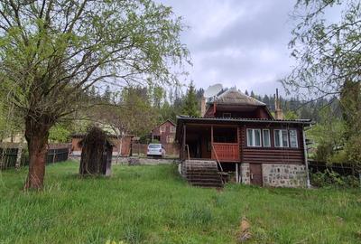 Cabana Lunca Bradului- 1200 mp teren - 10