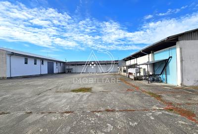 Proprietate industrială de vânzare – Târgu Jiu, Strada Ciocârlău - 5