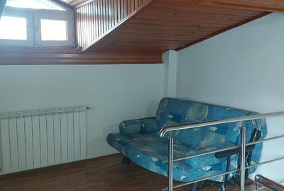 Baneasa, casa 2 camere, mobilata, renovata, parcare - 12