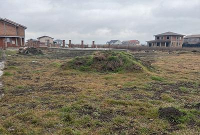 Teren Intravilan, Autorizatie de constructie, Puz Aprobat - Sacalaz - 4