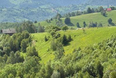 Teren superb intravilan  Pestera- Brasov, 11.908 mp - 13