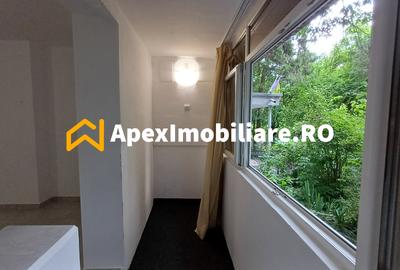 Garsoniera de inchiriat Timisoara București | ApexImobiliare.ro - 16
