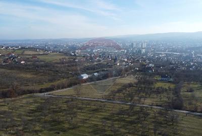 Teren 20.146 mp Dâmbu Rotund (Lomb).Extravilan.Potențial rezidențial - 19