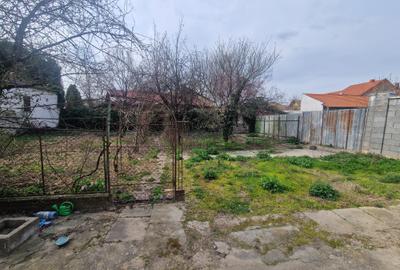 Casa situata in zona Blascovici, pe frumoasa strada Maslinului - 9