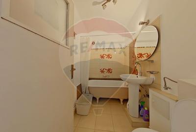 2 camere, Horea, Facultatea de Litere - 5