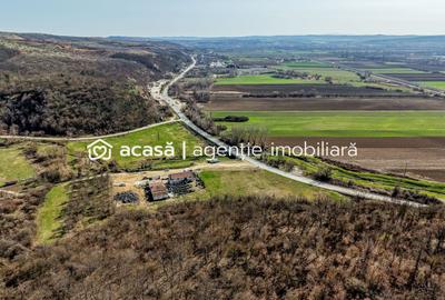 1,2 ha teren comercial/industrial cu hale in Baratca Paulis Arad - 4