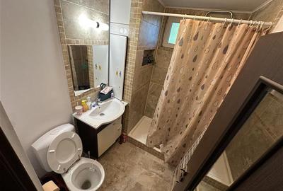 Apartament 2 camere de închiriat, Costin Georgian - 7