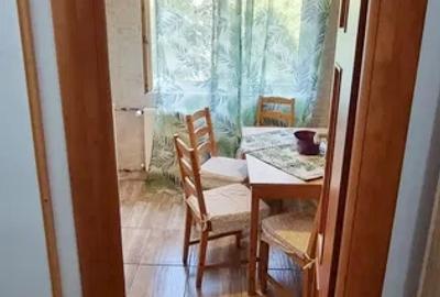 Apartament 2 Camere Teiul Doamnei - 4