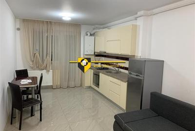 Apartament cu 2 camere decomandat în Turnișor