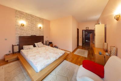 Reprezentare exclusivă · Casa dintre magnolii, Făget · 1.343 mp lângă pădure - 14