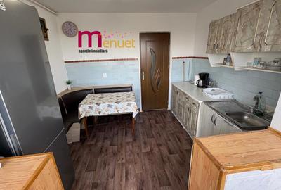 Apartament 3 camere,zona Piata Noua - 12
