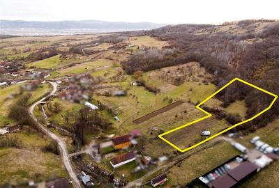 Teren intravilan de 7465 mp, în Peștiș