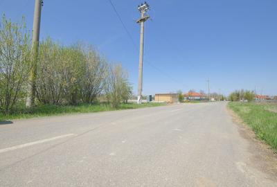 CIOFLICENI - Str. Dimitrie Cantemir, 937 mp. teren cu acces din strada - 4