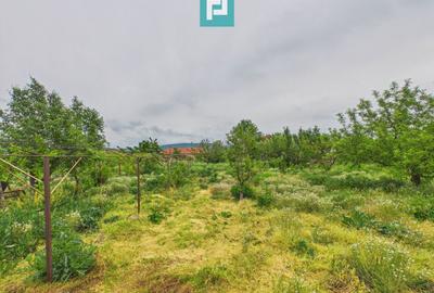 Casă complet modernizată, P+1 în Buteni, Arad - 35