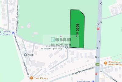 Corbeanca - Padure Petresti, 6000 Mp, Teren Unic, 52 Deschidere, Utili - 2