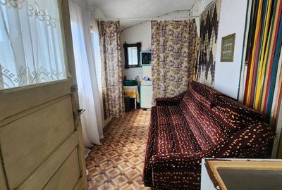 Comision zero! Vand casa în comuna Gârnic Caraș-Severin - 8
